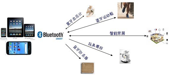app软件开发